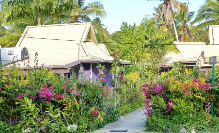 The Friendly Islander - Housity