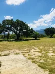 Moholoholo Lodge Hotels in Kampersrus AH