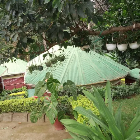 Themi Valley Eco Tourism Homestay