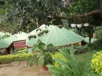 Themi Valley Eco  Tourism Homestay - Pet-friendly