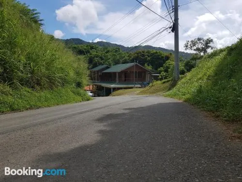 芒果鄉村別墅