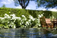 Arrowtown House Boutique Hotel Hotels in Arrowtown