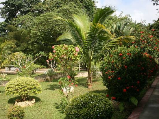 Balai Serama Guesthouse Room Reviews Photos Tembeling 2021 Deals Price Trip Com