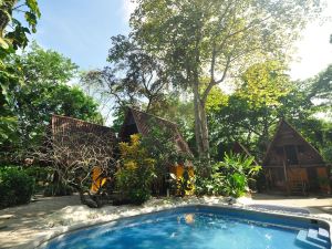 The Howler Monkey Hotel