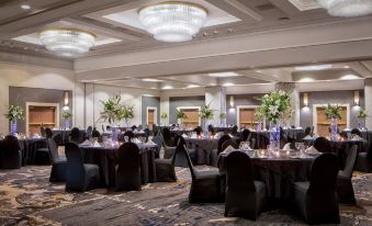 a large banquet hall with multiple tables and chairs , all set for a formal event at Marriott Albuquerque