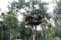 Xotic Resort Hotels in Galagedara