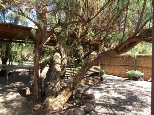 Peumayen Atacama cabaña&Hostal - appartements de vacances