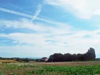 Route de Coinsin Hotels in Morges