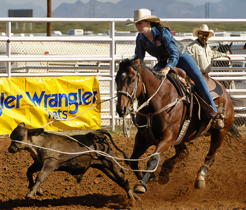 Best Western Antelope Inn & Suites