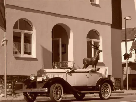 HOTEL - GASTHOF HIRSCH Отели в г. Бергбанрегион