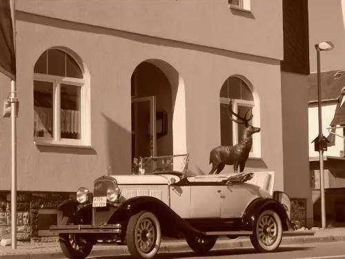 HOTEL - GASTHOF HIRSCH Hotels in Probstzella