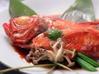 Awaonsen Kinokuniya Hotels in Kyonan