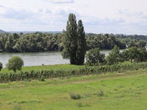 Rheinblick Hattenheim Boutique Art Gästehaus