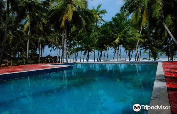 棕櫚葉海灘度假村