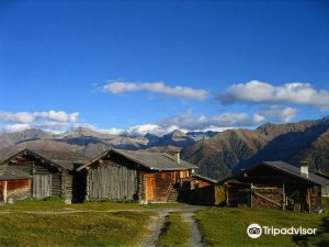 Boutique-Hotel Garni Bellevue Davos Wiesen