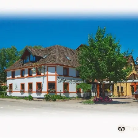 Hotel Schwanen Отели в г. Кель