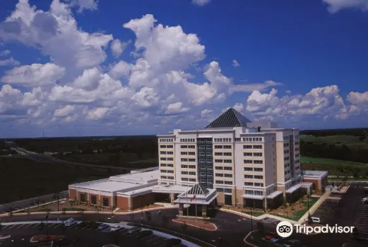 Embassy Suites Northwest Arkansas - Hotel, Spa & Convention Center Hotels near Pinnacle Hills Promenade