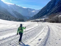 Hüttl Hotels in Gemeinde Trins