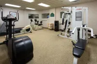 Holiday Inn Express & Suites INDIANAPOLIS NORTHWEST by IHG - Gym
