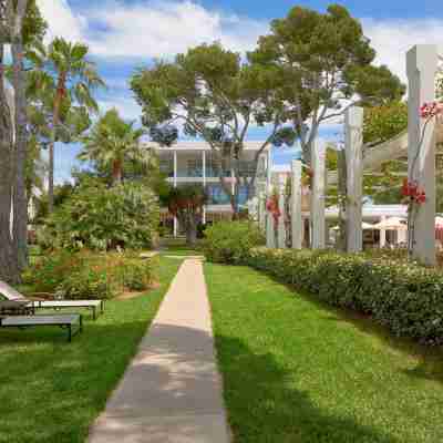 Melia Cala d'Or Hotel Exterior