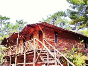 Kadir's Top Tree Houses