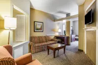 Comfort Inn & Suites Hotels in Camden