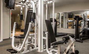 Comfort Inn & Suites East Greenbush - Albany