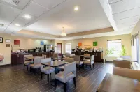 Clarion Pointe Apex - Holly Springs Hotels in Apex