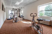 Comfort Suites Knoxville Airport - Gym