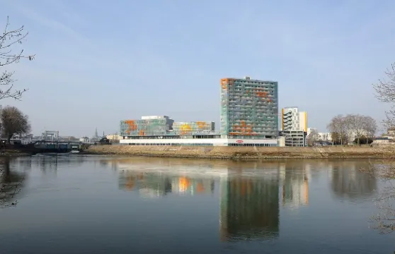 雷斯迪南特貝奇洛爾家