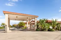 University Inn & Suites - Motels