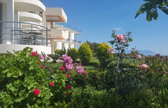 卡科瓦託斯海灘奧斯特拉酒店