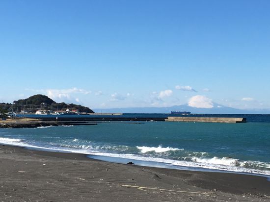 南房総の白浜フラワーパーク周辺のホテル 21おすすめ旅館 宿 Trip Com 南房総の白浜フラワーパーク周辺のホテル 21おすすめ旅館 宿 Trip Com