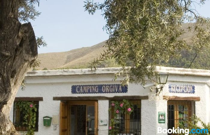 Camping Orgiva