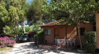 Camping Caledonia