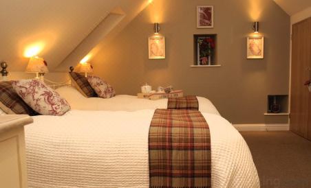 Plum Tree Cottage - Housity