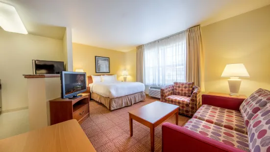 TownePlace Suites Minneapolis-St. Paul Airport/Eagan