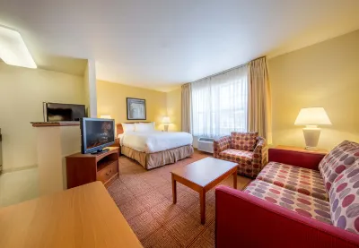 TownePlace Suites Minneapolis-St. Paul Airport/Eagan Hotels in Eagan