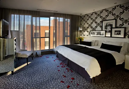 約翰內斯堡梅爾羅斯拱門Protea Hotel Fire & Ice!