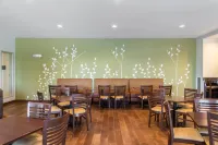 Sleep Inn & Suites Marshall - University Area Hotels in Marshall