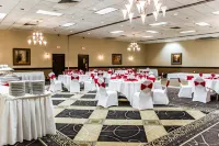 Wyndham Garden Greensboro Hotels in Greensboro