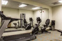 Comfort Inn & Suites Northeast - Gateway - Gym