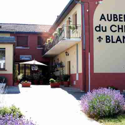 Logis Auberge du Cheval Blanc Hotel Exterior