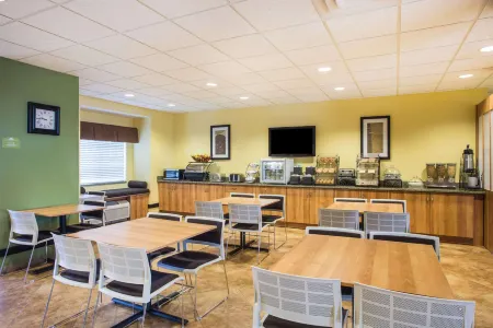 Microtel Inn & Suites by Wyndham Opelika