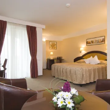 Hotel Ambient
