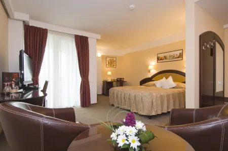 Hotel Ambient Отели в г. Брашов