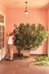 Hotel das Cataratas, A Belmond Hotel, Iguazu Falls Hotel a 