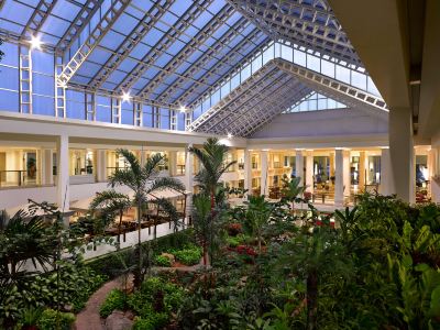 庭 デュシタニ パタヤの写真