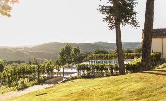 a large pool is surrounded by a lush green lawn and trees , with mountains in the background at Villa le Calvane