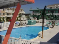 Dolphin Inn - Beach